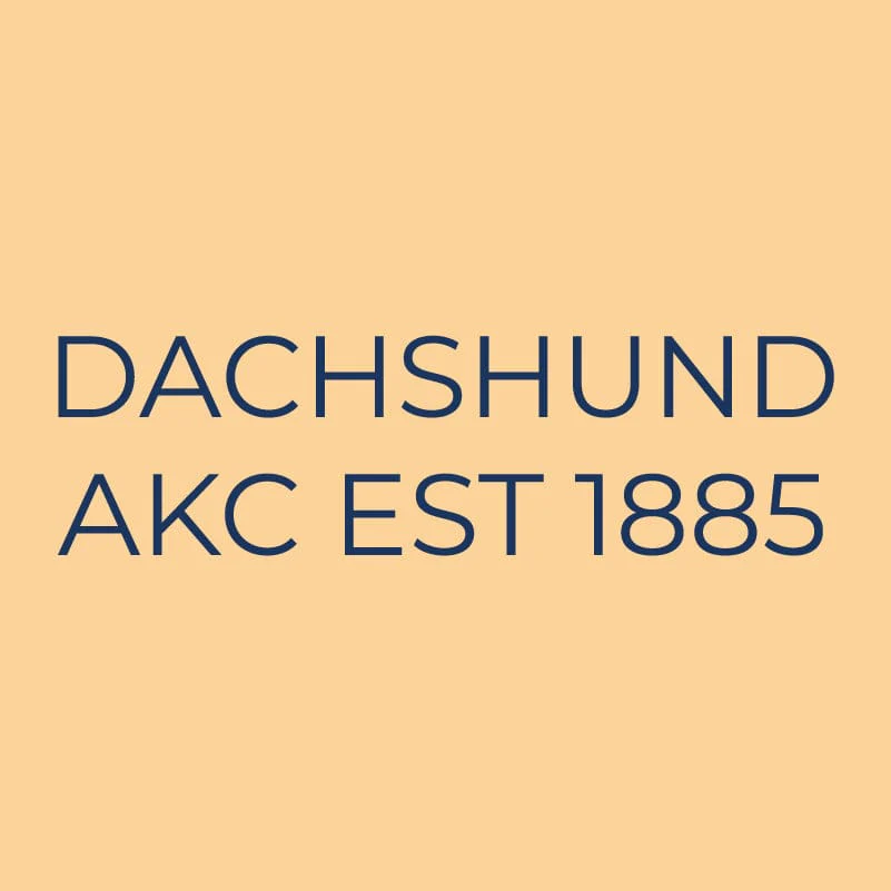 Dachshund Embroidered AKC Quarter Zip - Image 6