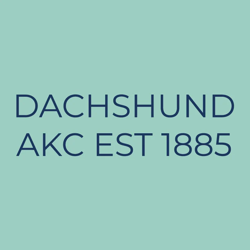 Dachshund Embroidered AKC Quarter Zip - Image 9