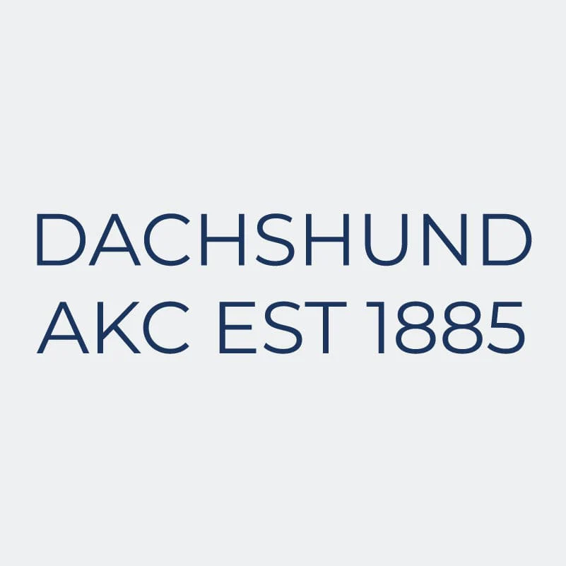 Dachshund Embroidered AKC Women's Polo - Image 3