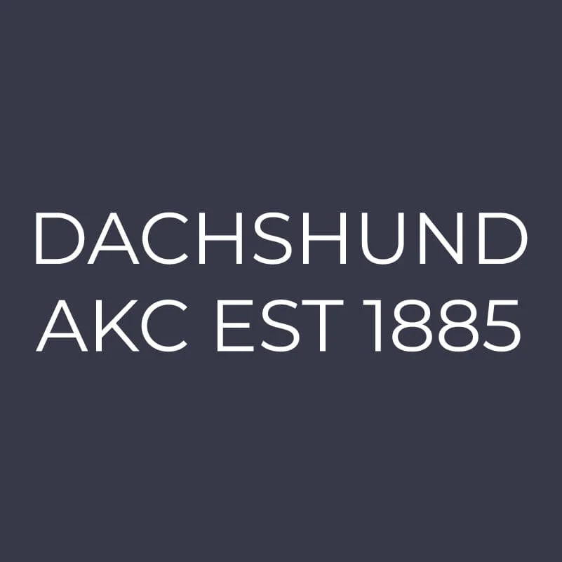 Dachshund Embroidered AKC Women's Polo - Image 9