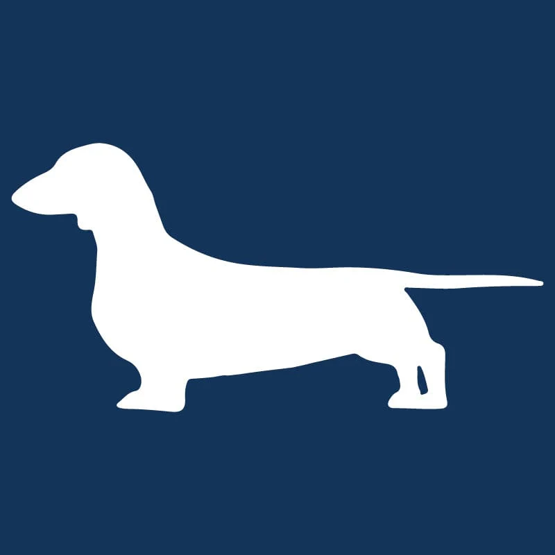 Dachshund AKC Embroidered Visor - Image 2