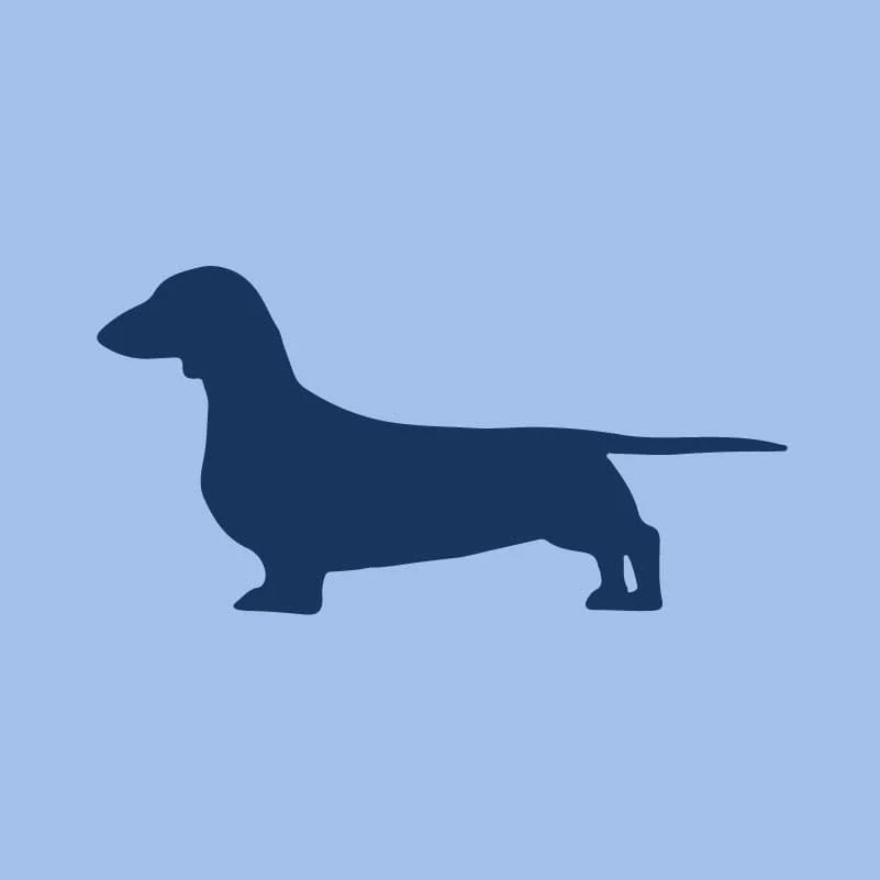 Dachshund Toddler Full Zip Sweatshirt - Image 6