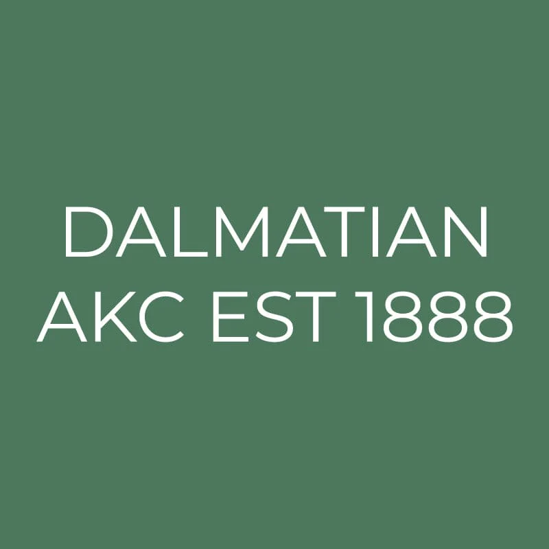 Dalmatian Embroidered AKC Quarter Zip - Image 12