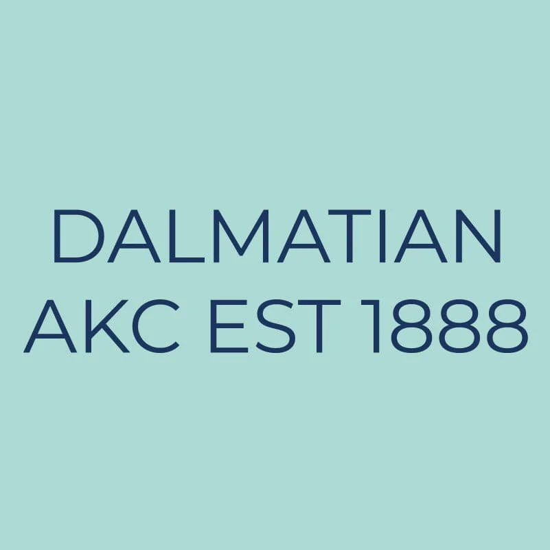 Dalmatian Embroidered AKC Quarter Zip - Image 18