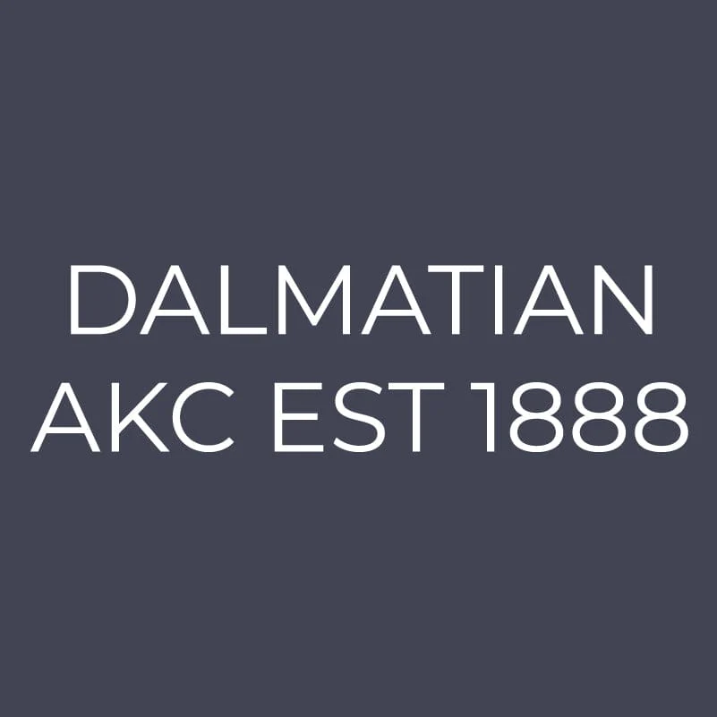 Dalmatian Embroidered AKC Quarter Zip - Image 9
