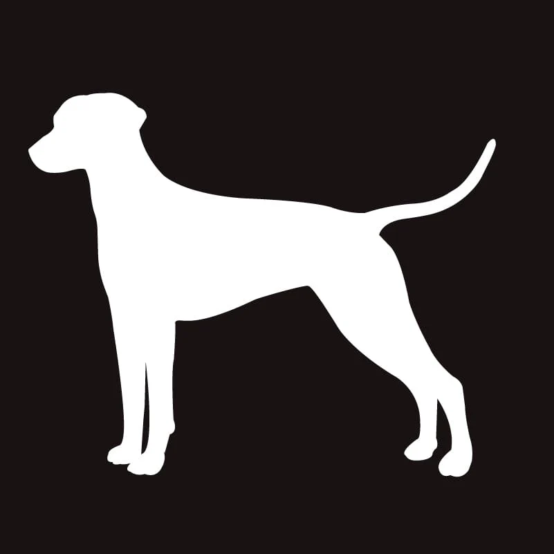 Dalmatian AKC Embroidered Visor - Image 2