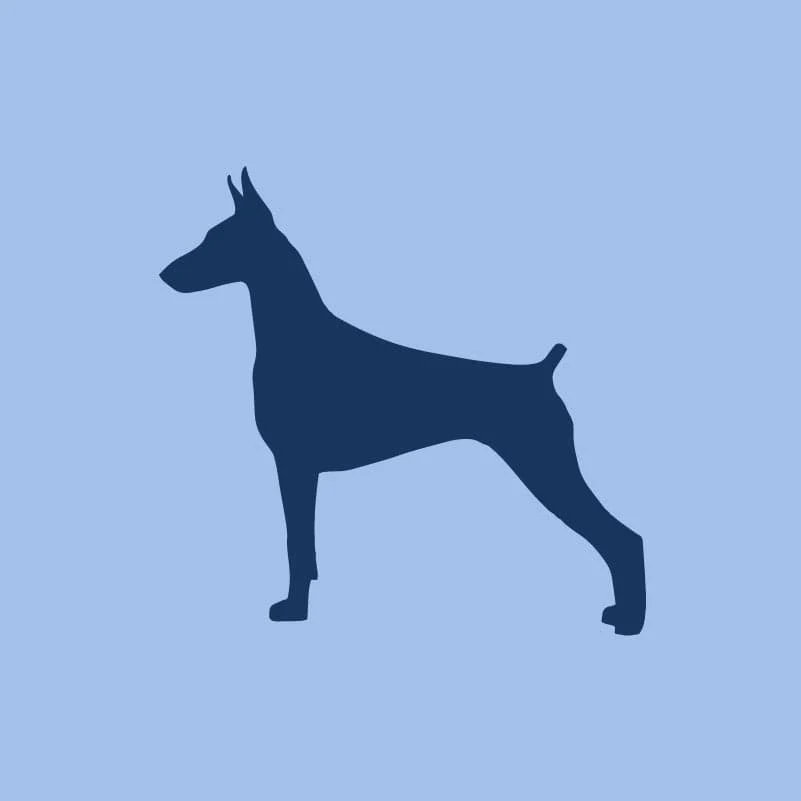 Doberman Pinscher Children's Full Zip Sweatshirt - Image 4