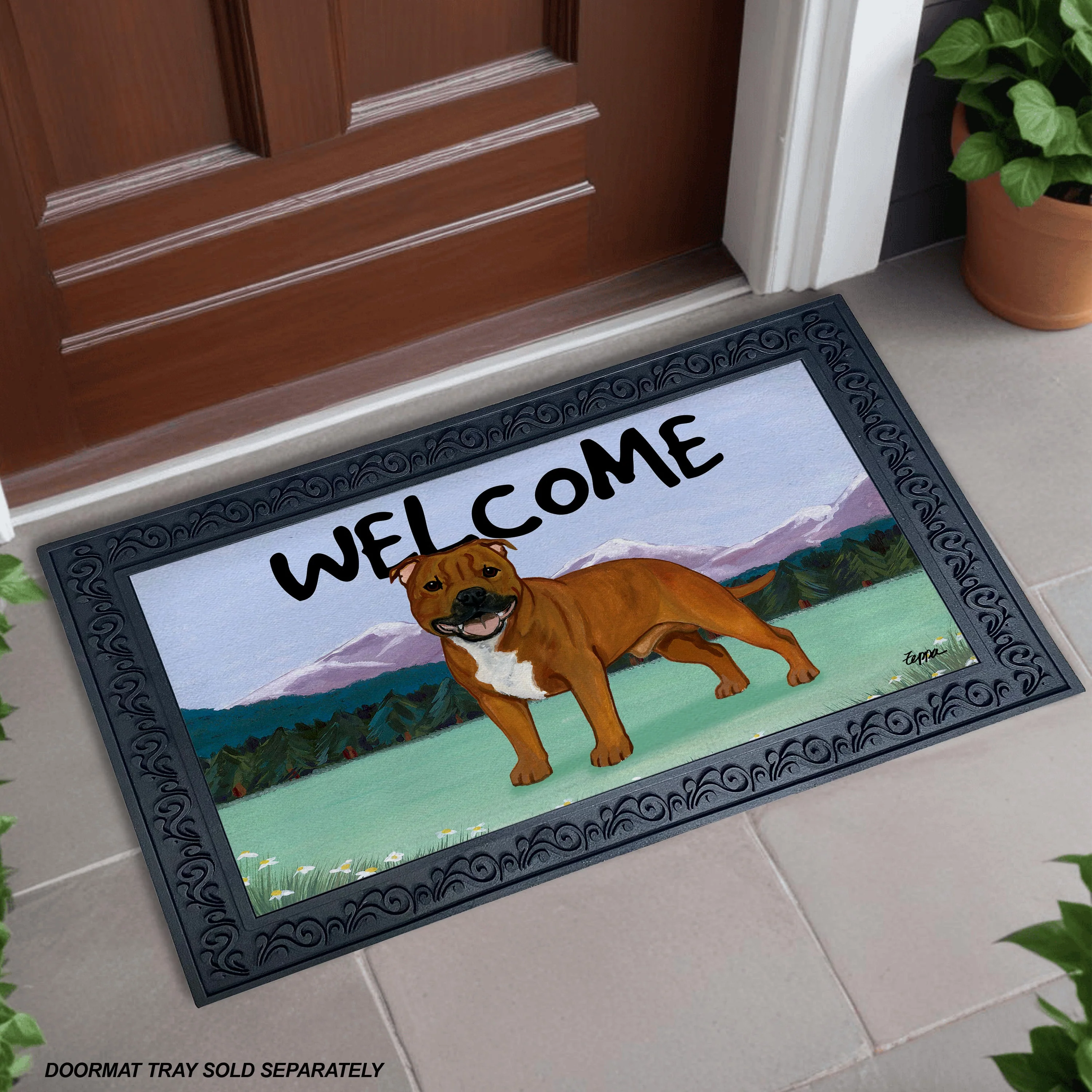 English Staffordshire Welcome Mat - Image 2