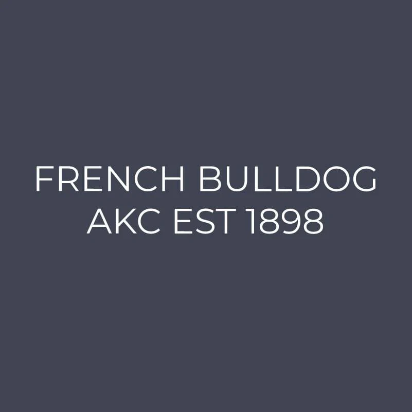 French Bulldog Embroidered AKC Quarter Zip - Image 3