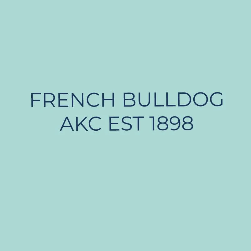 French Bulldog Embroidered AKC Quarter Zip - Image 9