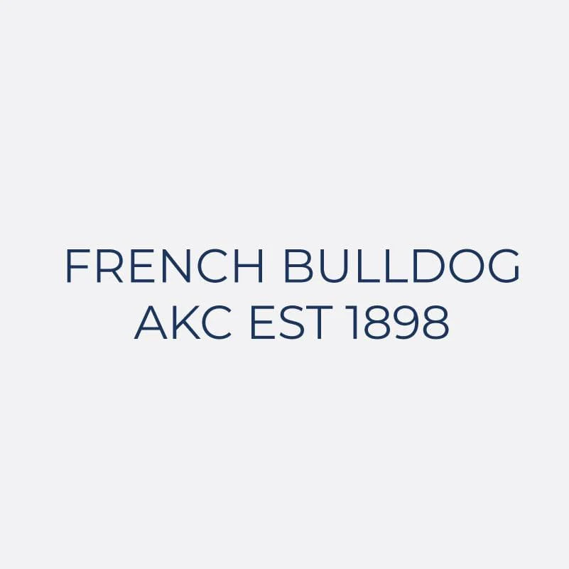 French Bulldog Embroidered AKC Women's Polo - Image 3