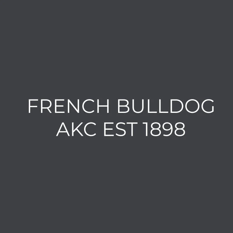 French Bulldog Embroidered AKC Women's Polo - Image 6