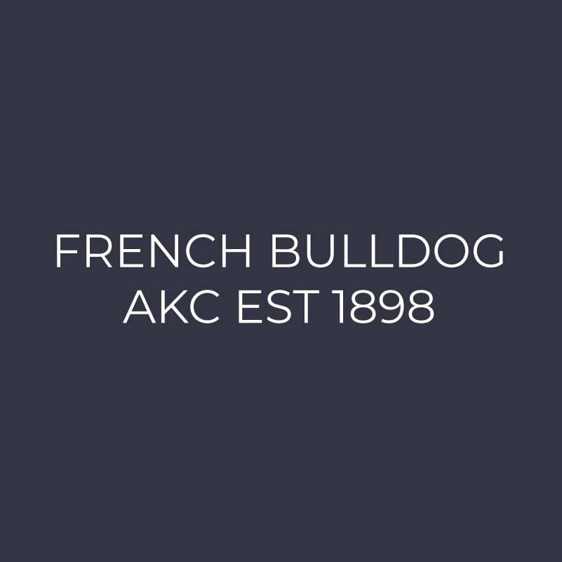French Bulldog Embroidered AKC Women's Polo - Image 9