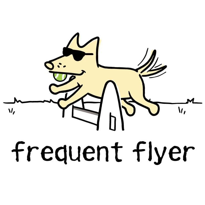 Frequent Flyer - Coffee Mug - Image 2