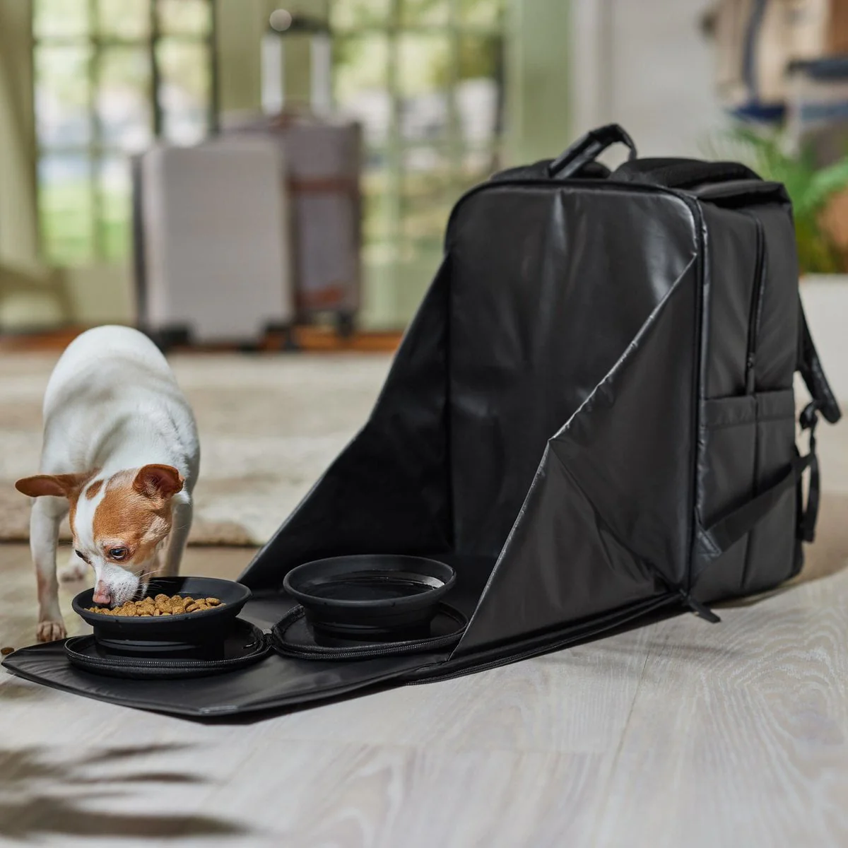 Frisco Dog Backpack Travel Bag with Double Bowl and Food Storage - Image 5