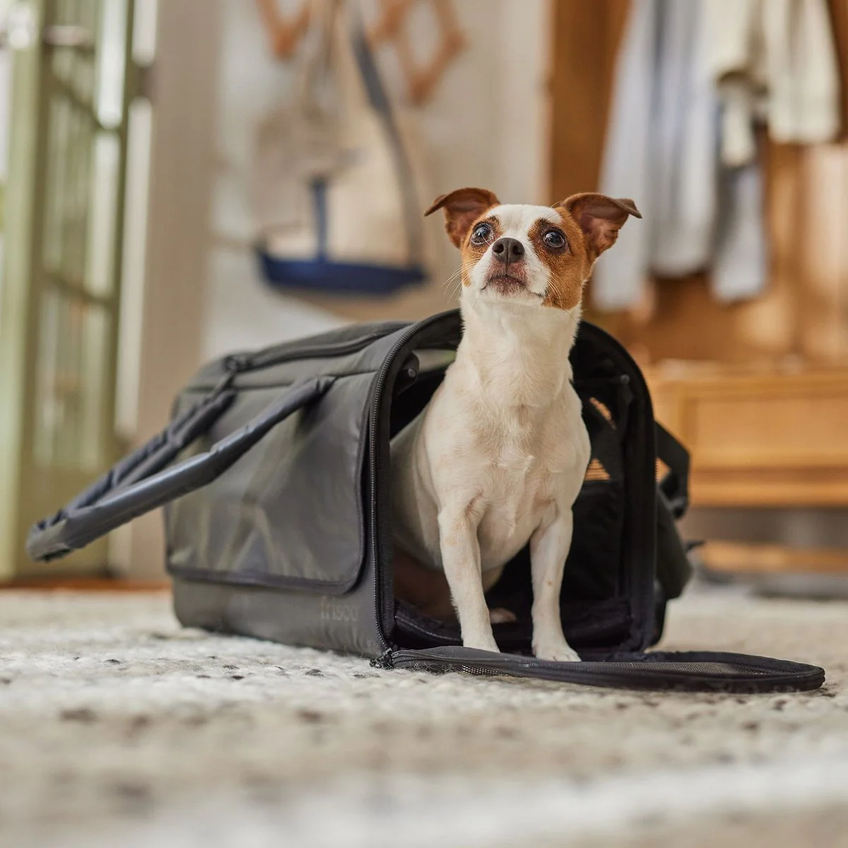 Frisco Soft-Sided Airline Compliant Dog Carrier - Image 8