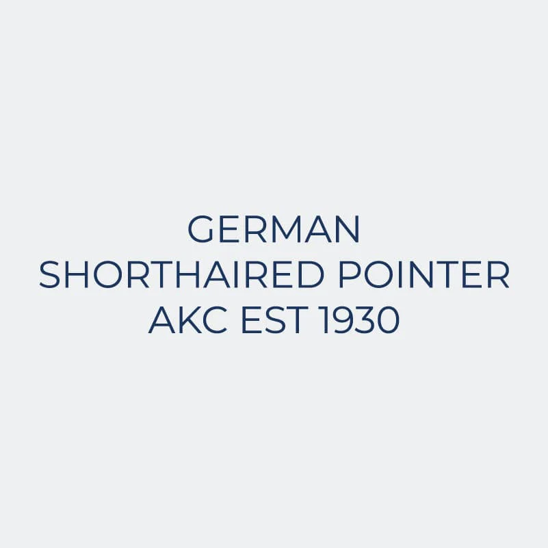 German Shorthaired Pointer Embroidered AKC Women's Polo - Image 9