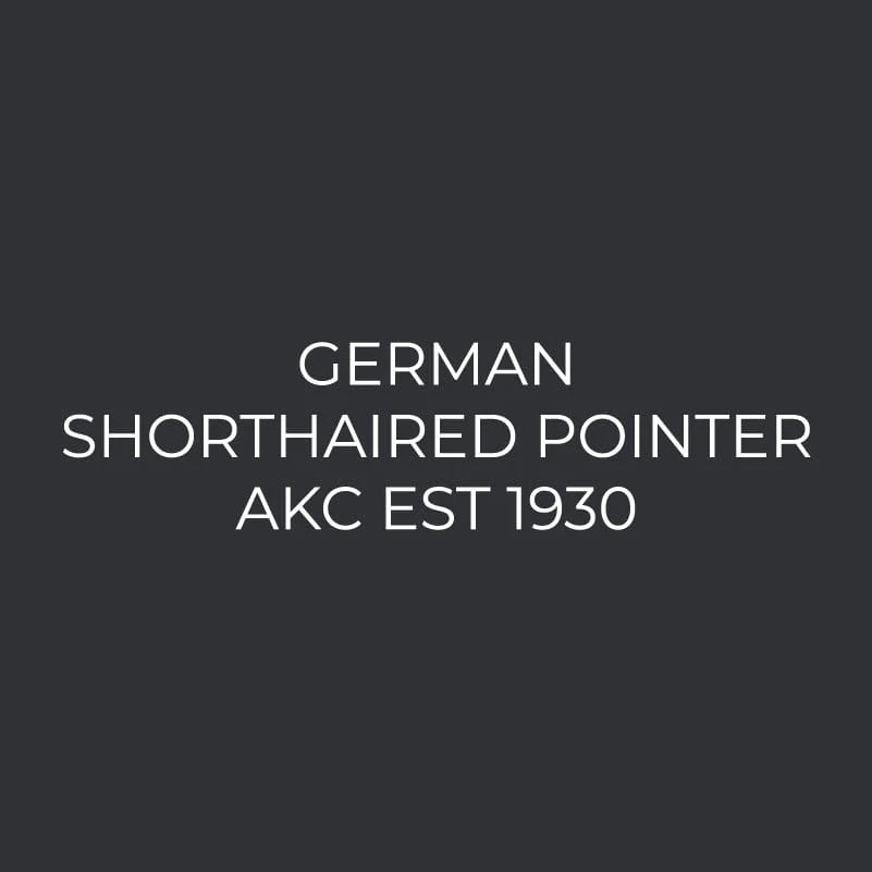 German Shorthaired Pointer Embroidered AKC Men's Polo - Image 3