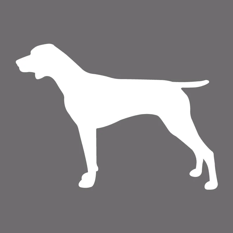 German Shorthaired Pointer Embroidered AKC Men's Polo - Image 5