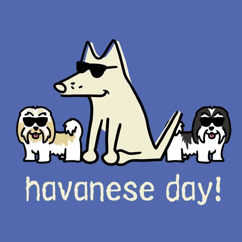 Havanese Day! - Classic Tee - Image 3