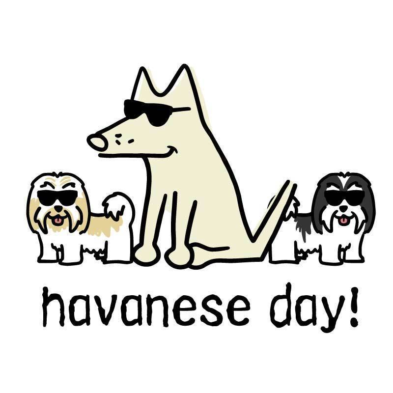 Havanese Day!  - Coffee Mug - Image 2