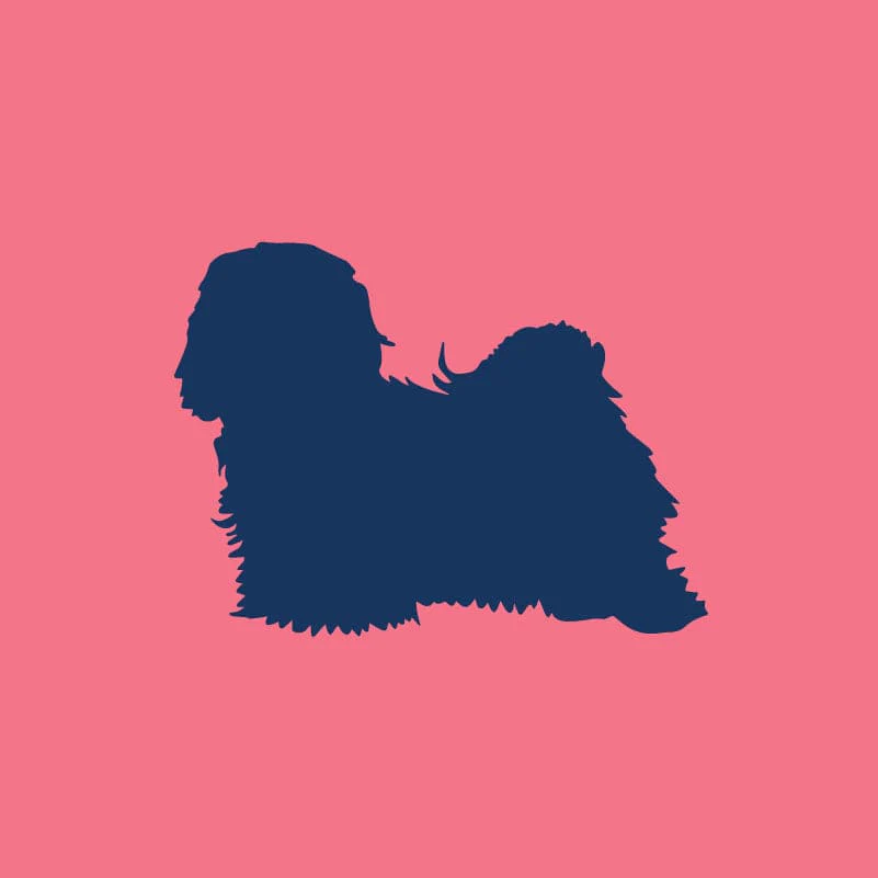 Havanese Toddler Full Zip Sweatshirt - Image 6