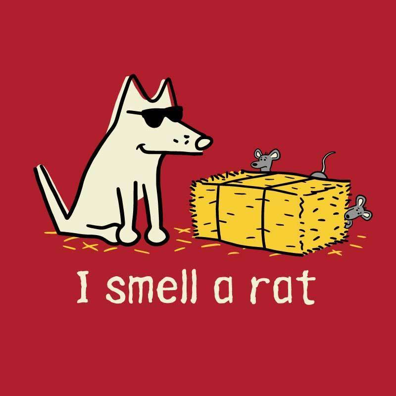 I Smell A Rat - Ladies Plus V-Neck Tee - Image 2