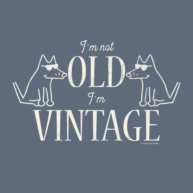 I'm Not Old I'm Vintage - Sweatshirt Pullover Hoodie - Image 2