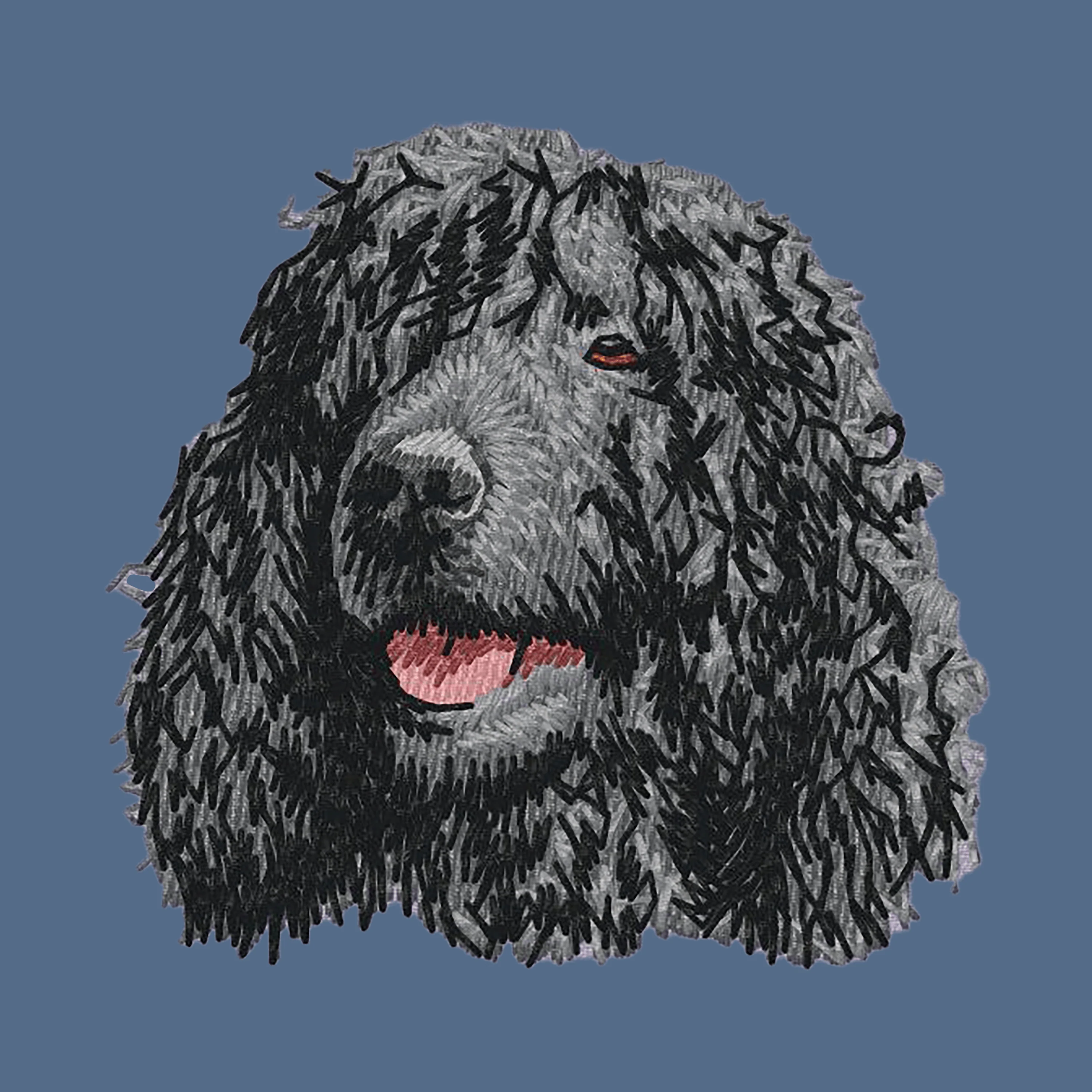 Irish Water Spaniel Embroidered Women's Denim Shirt - Image 3