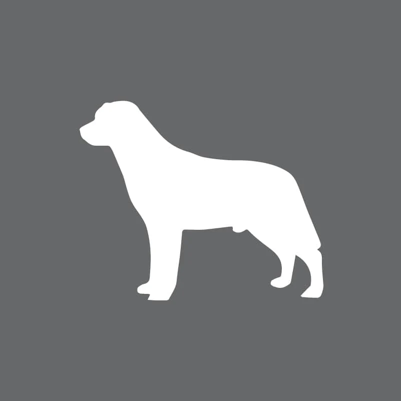 Labrador Retriever Children's Full Zip Sweatshirt - Image 4