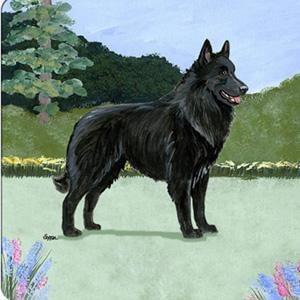Leonberger Scenic Square Coaster - Image 4