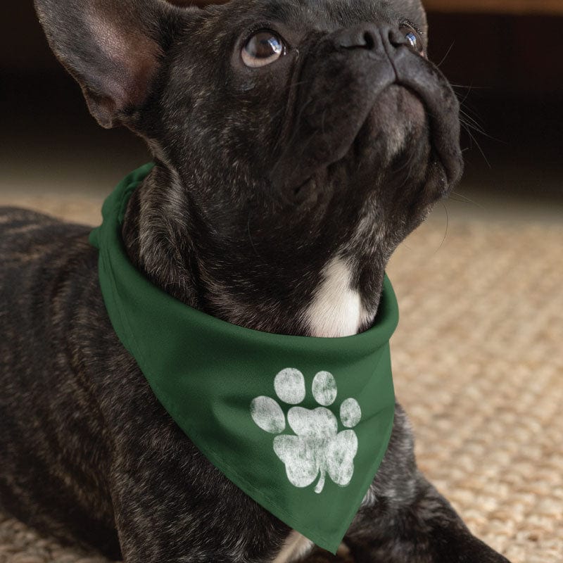 Lucky Paw - Doggie Bandana