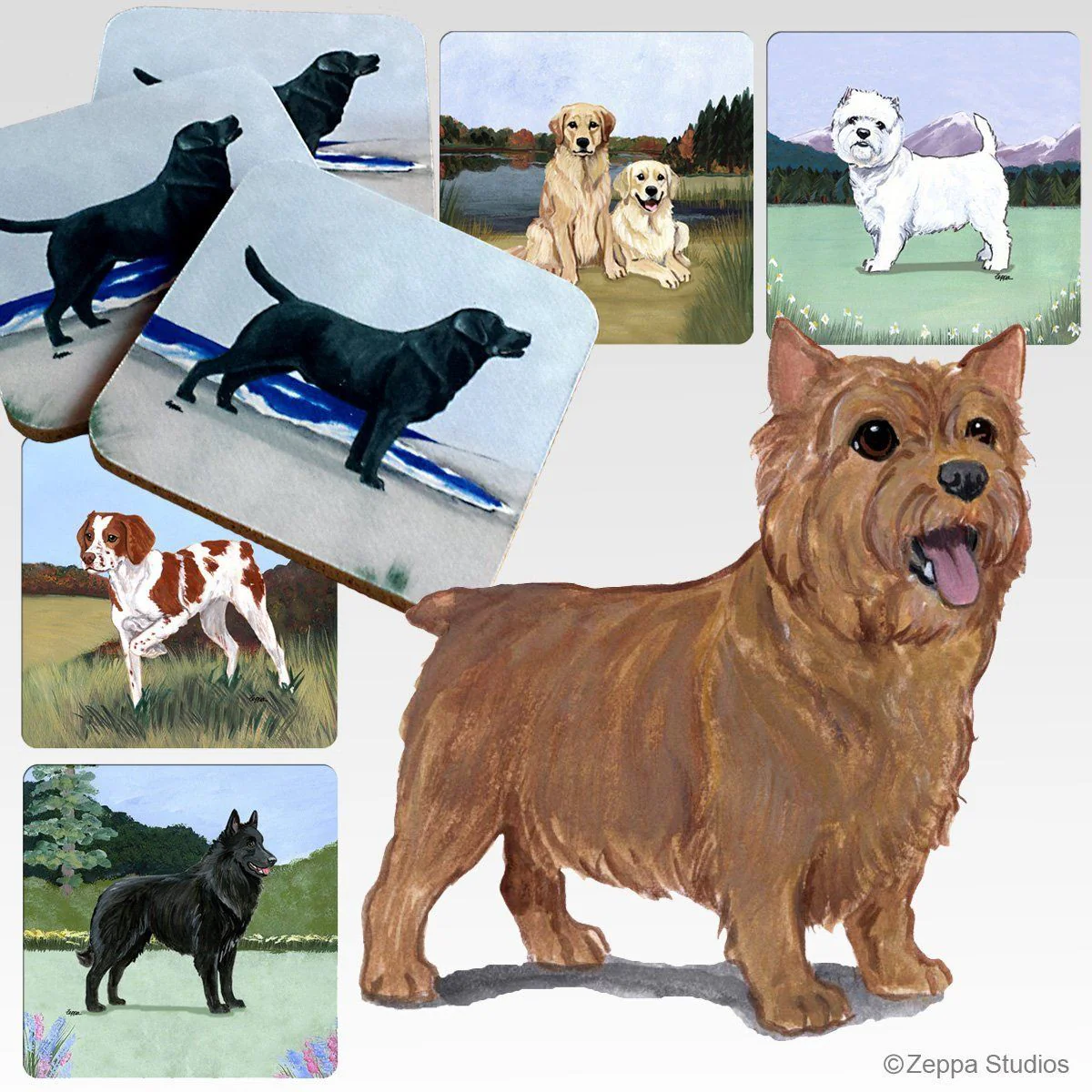 Norwich Terrier Scenic Square Coaster