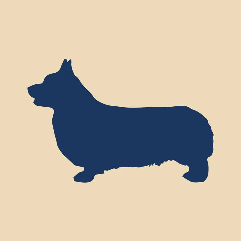 Pembroke Welsh Corgi Embroidered AKC Quarter Zip - Image 14
