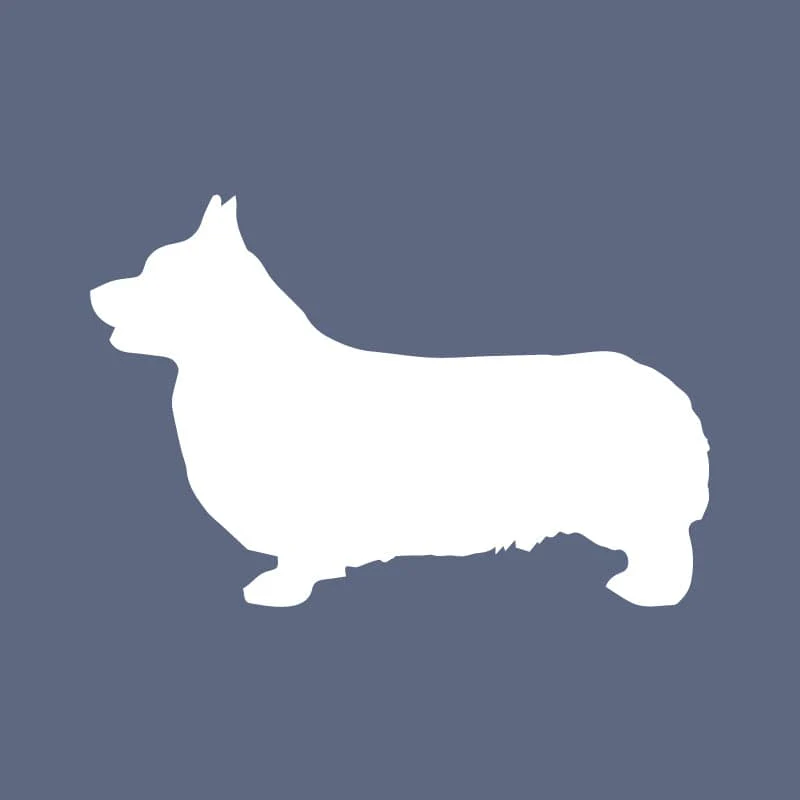 Pembroke Welsh Corgi - Beanie - Image 4