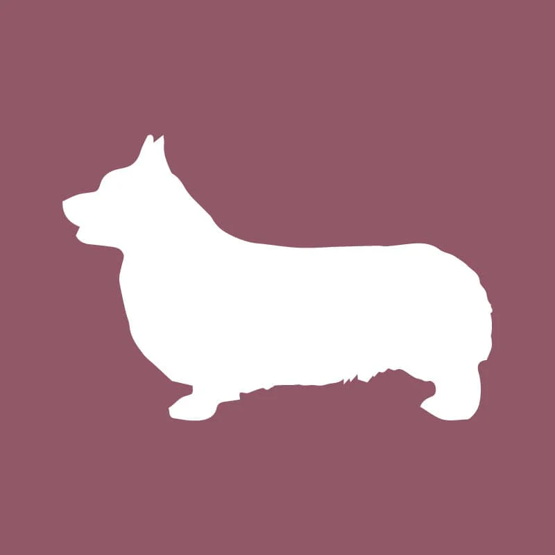 Pembroke Welsh Corgi - Beanie - Image 6
