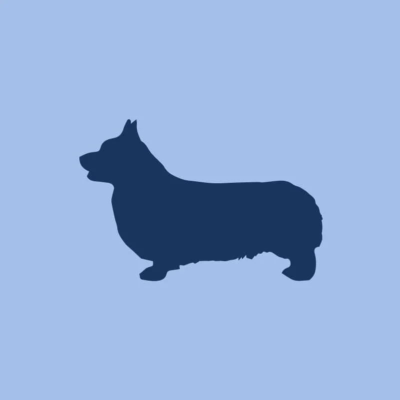 Pembroke Welsh Corgi Children's Full Zip Sweatshirt - Image 4