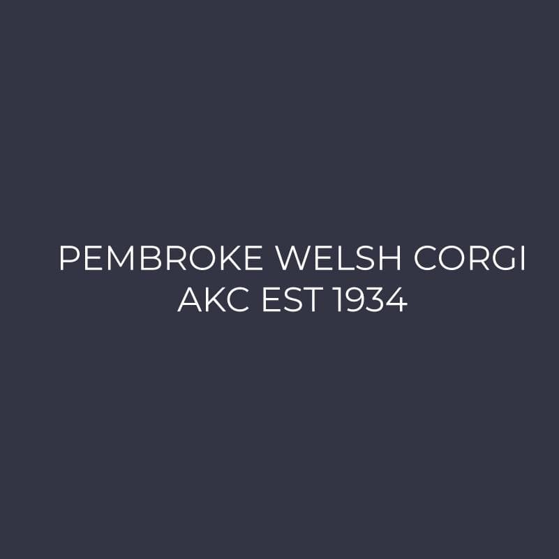 Pembroke Welsh Corgi Embroidered AKC Women's Polo - Image 3