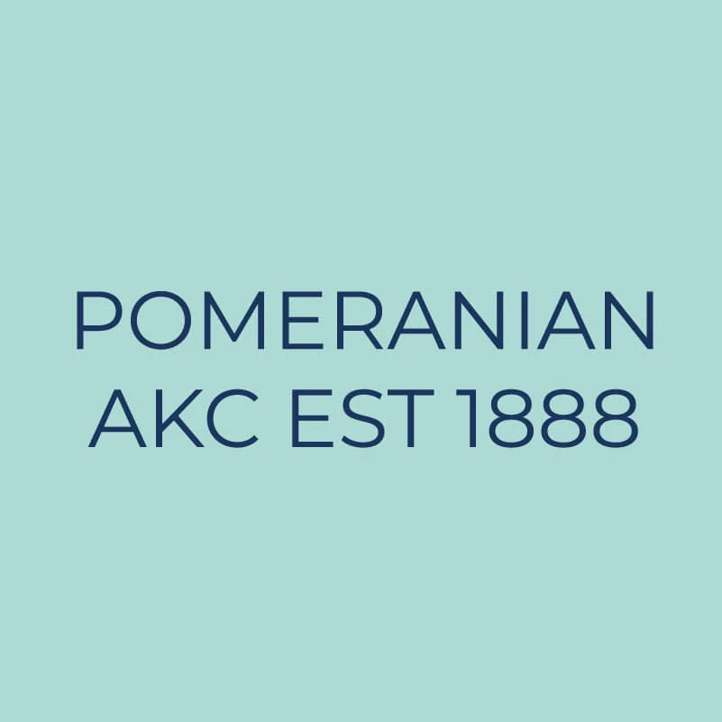 Pomeranian Embroidered AKC Quarter Zip - Image 9