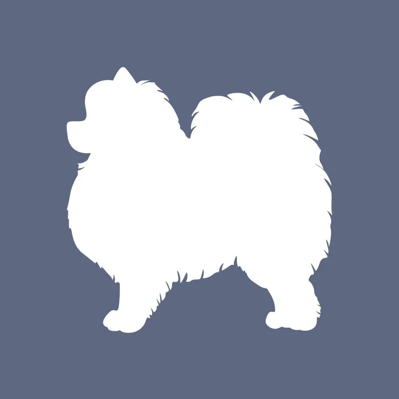 Pomeranian - Beanie - Image 4