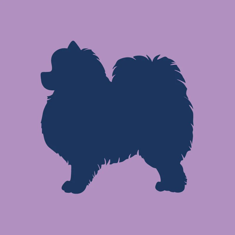 Pomeranian Infant Onesie - Image 2