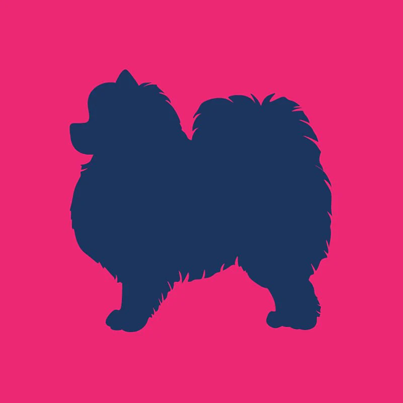 Pomeranian Infant Onesie - Image 4