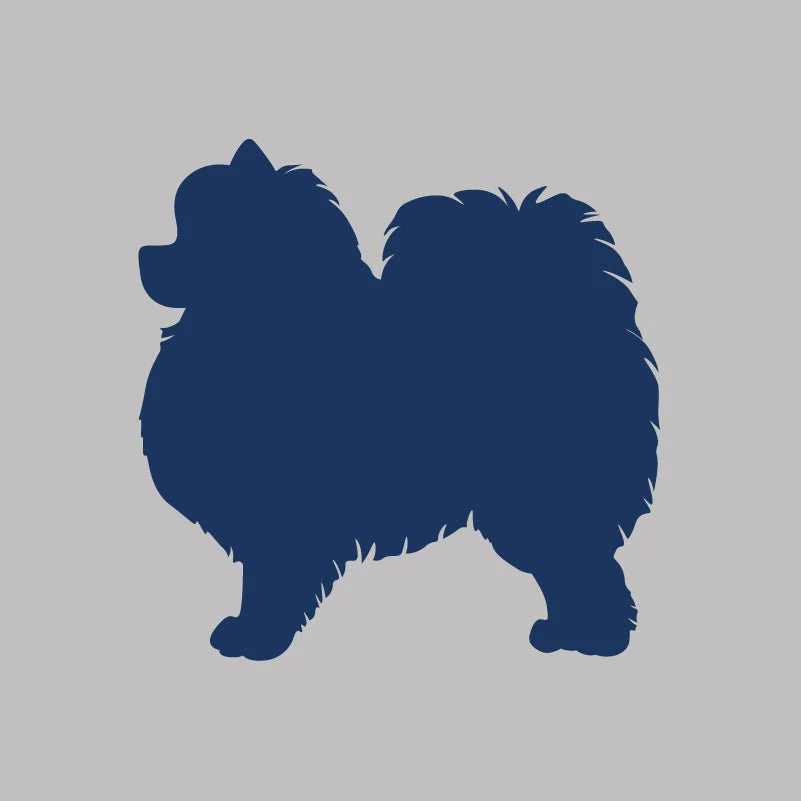 Pomeranian Infant Onesie - Image 6