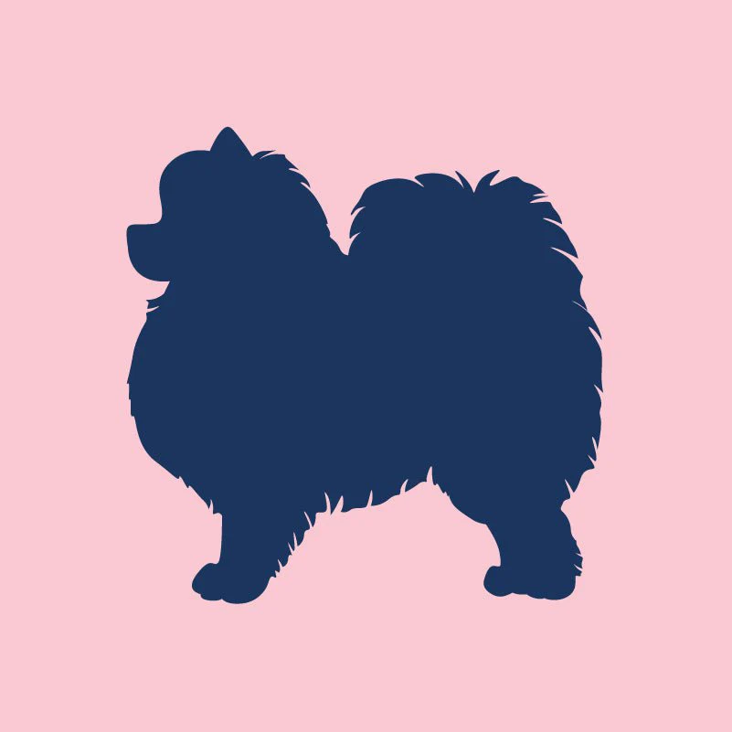 Pomeranian Infant Onesie - Image 8