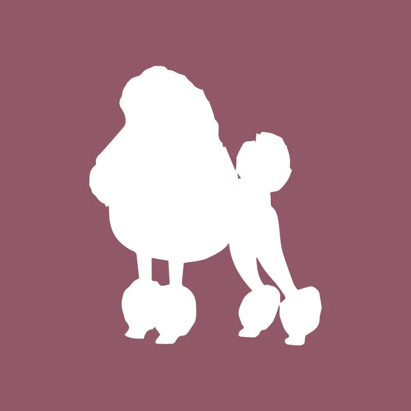 Poodle - Beanie - Image 2