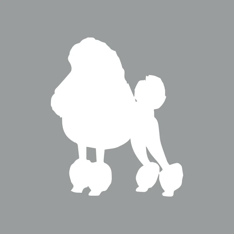 Poodle - Beanie - Image 4
