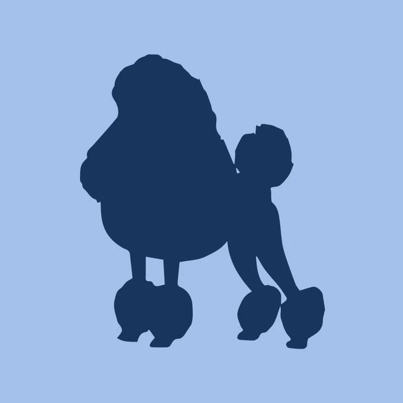 Poodle Toddler Full Zip Sweatshirt - Image 3