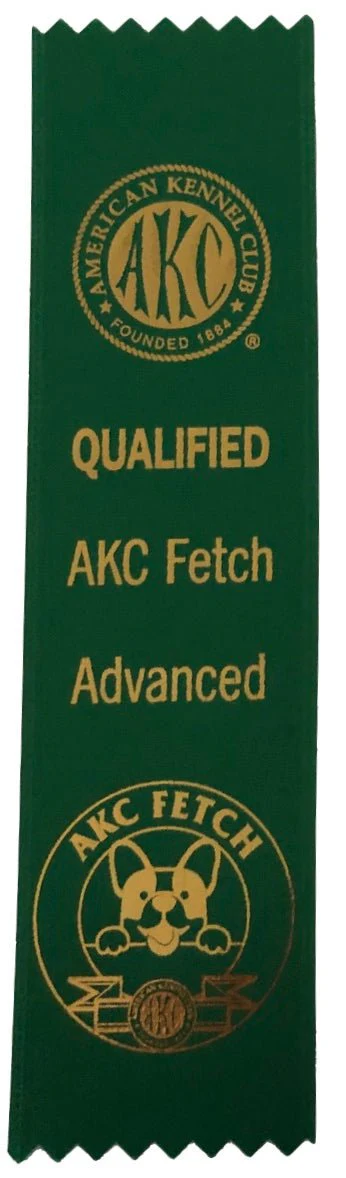 AKC Fetch Dog Ribbons - 10 Pack - Image 3