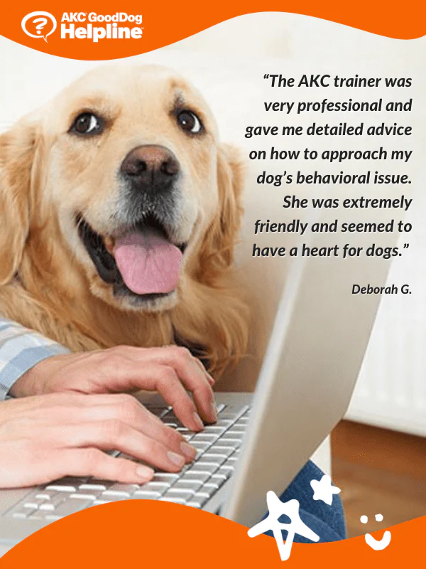 AKC GoodDog Helpline Video Training Consultations Bundle - Image 3