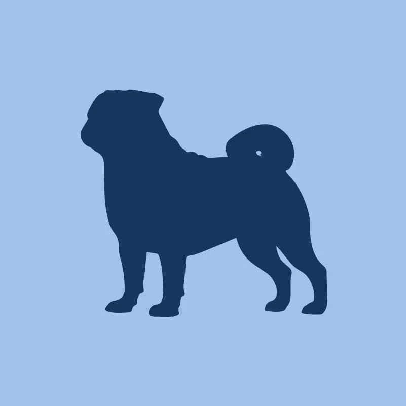 Pug Children's Full Zip Sweatshirt - Image 4